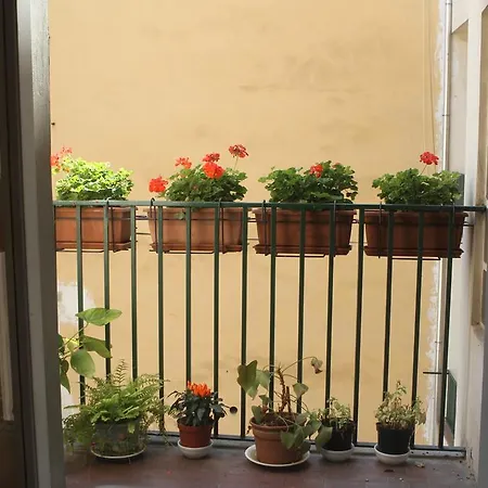 Cordova Florenz